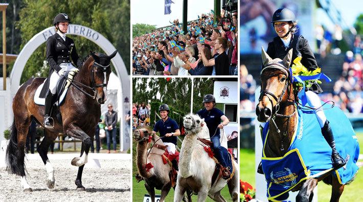 Tävling: Vinn biljetter för två till Falsterbo Horse Show – tre paket i potten