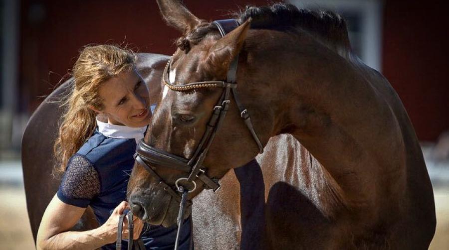 Nytt fodertillskott har nått den svenska marknaden