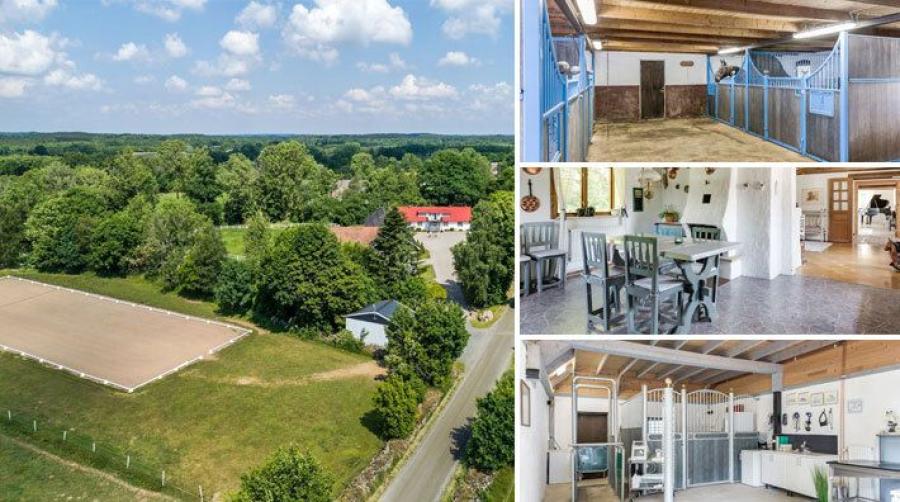 En drömgård för både två- och fyrbenta