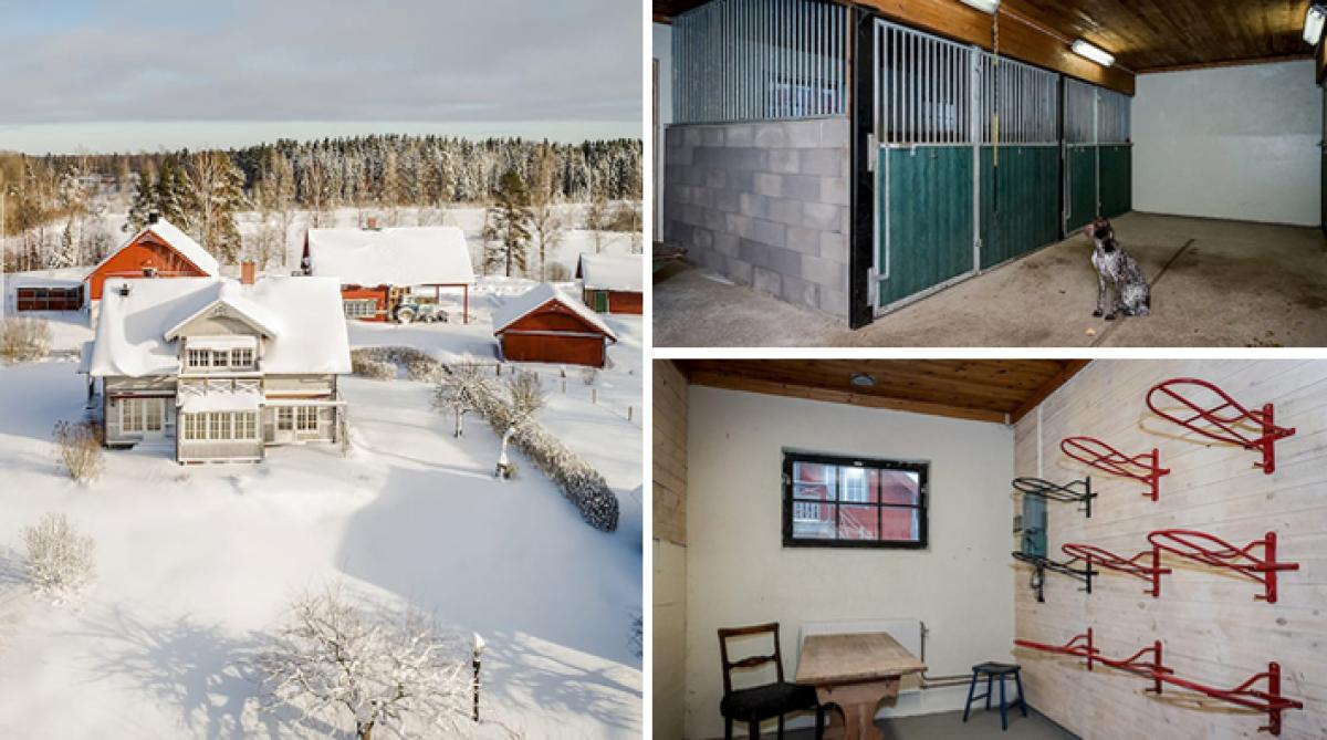 Lättskött hästgård med gott om plats