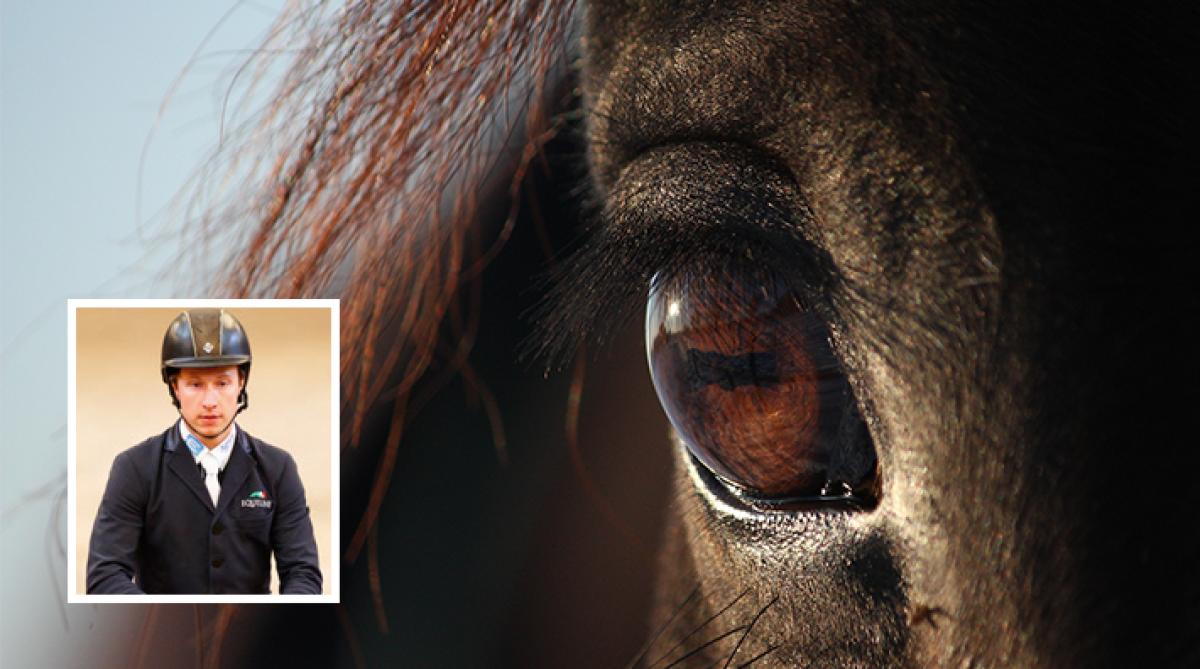 Arkivfoto: Adobe Stock och Tomas Holcbecher (Douglas)
