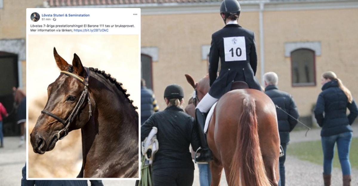 Foto: Skärmdump (Lövsta) och Ida Röök (arkiv)