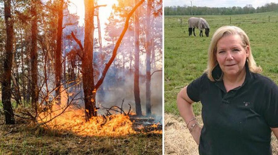 Foto: Adobe Stock, privat