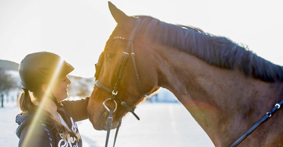 Foto: Adobe Stock