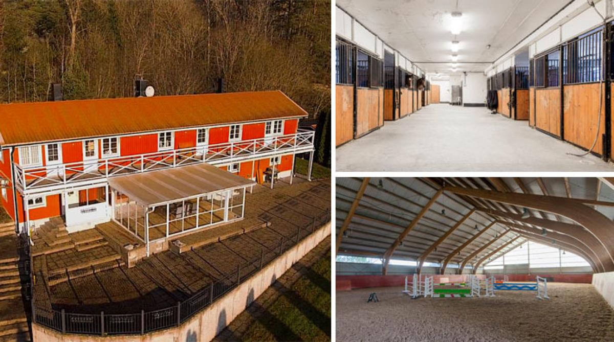 Komplett hästställe i Kolmården – med 23 boxar och ridhus (plus egen pool!)