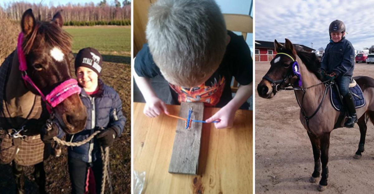 <i>Tim och Boom Bellis. Bilden till höger är från en pay and jump hos Nina och Sissi Liljas ridutbildning, där Tim även sålde sina verk. Bellis har ett egengjort pannband i blått och gult, liknande de...