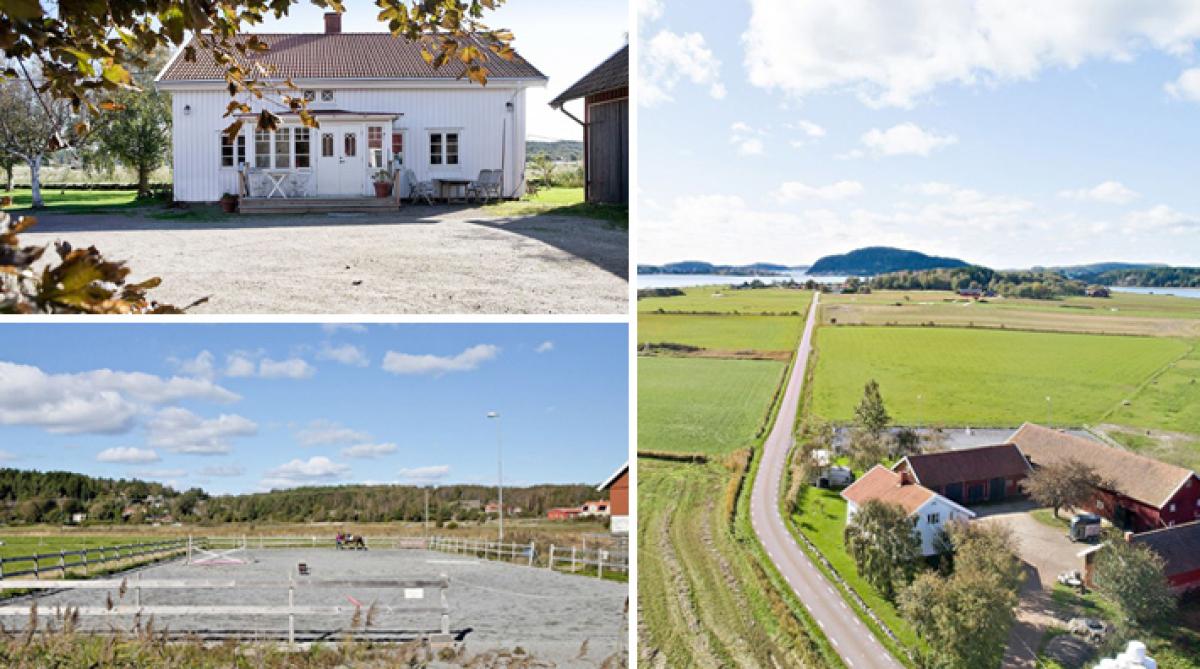 Idyllisk hästgård med sju boxar – vid havet och nära Göteborg