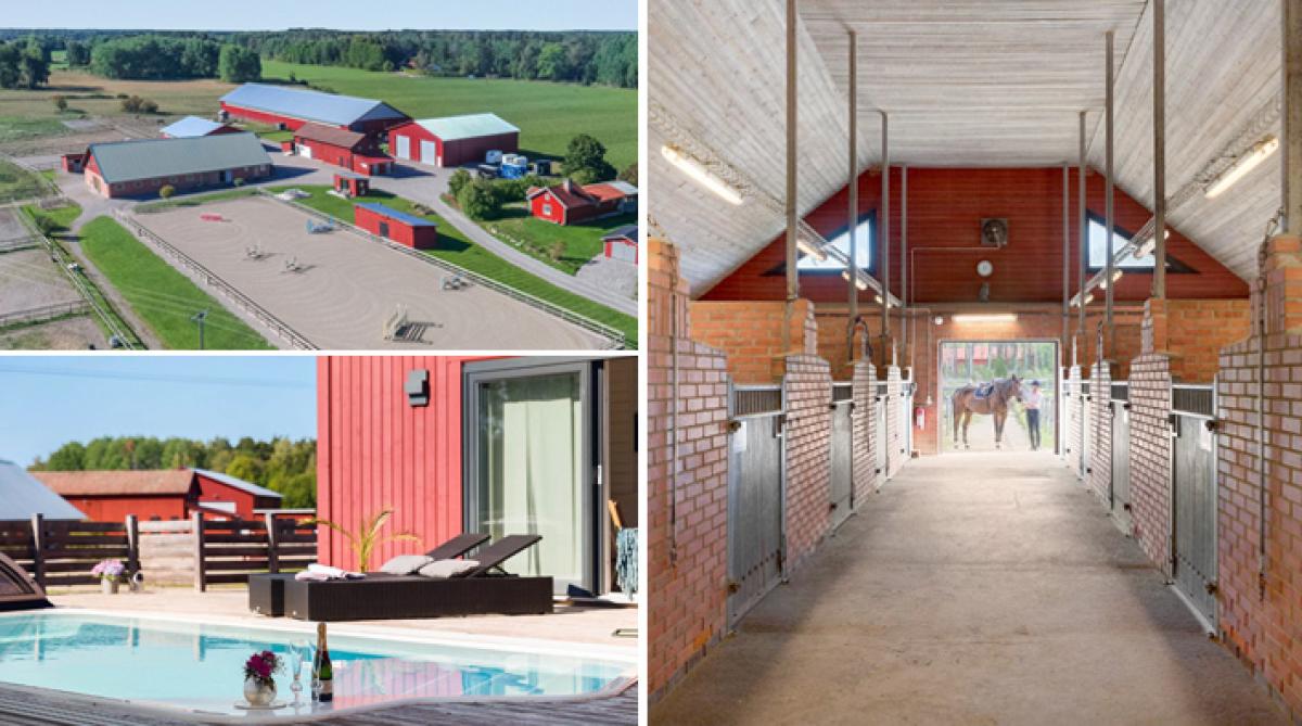 Komplett hästanläggning i toppskick – med pool, ridhus och "bed and breakfast"