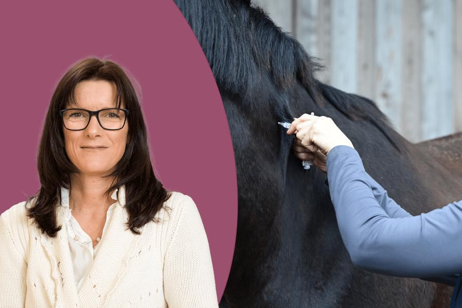 Foto: Adobe Stock & Göran Ekeberg/SVA
