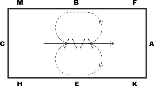 Mönster 1: Arbeta hästen stark