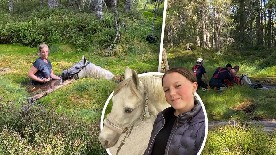 Det tog två timmar att få upp Belle från myren. Foto: Privat