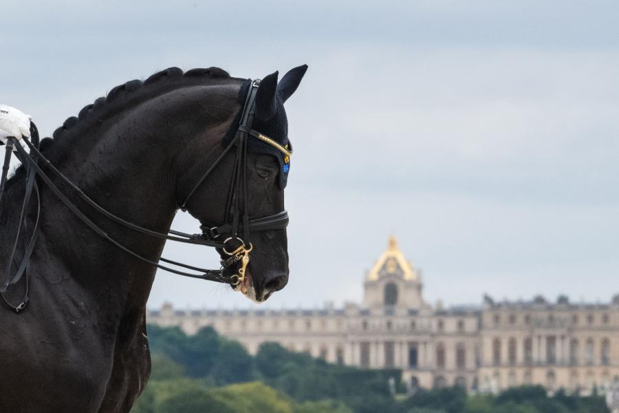 Genrebild från OS i Paris. Foto: Ludvig Thunman/Bildbyrån