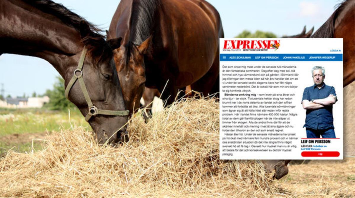 Foto: Adobe Stock och Faksimil/Expressen