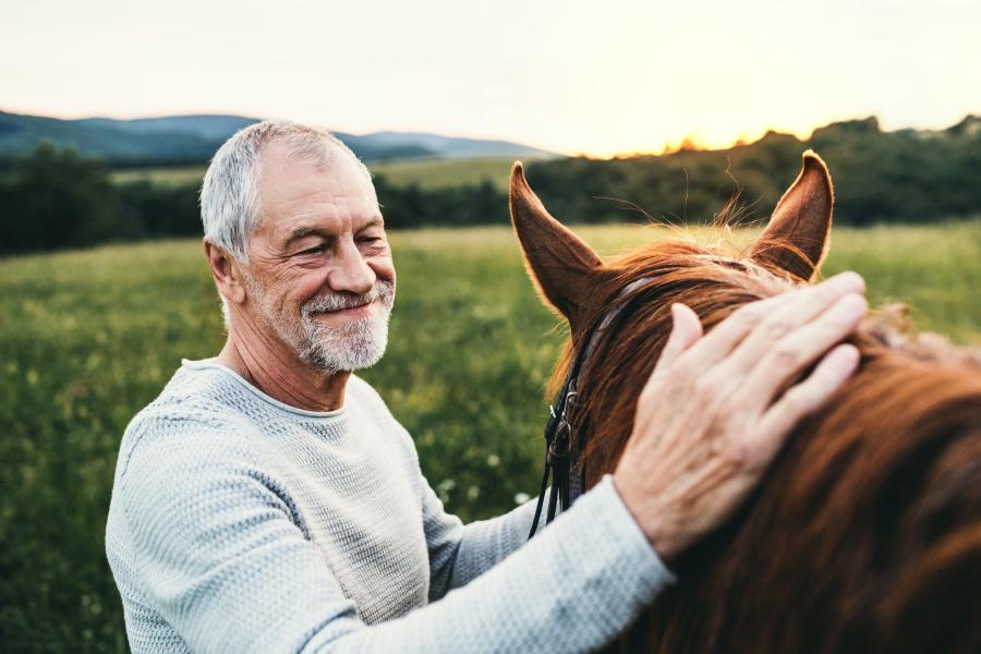 Genrebild: Adobe Stock