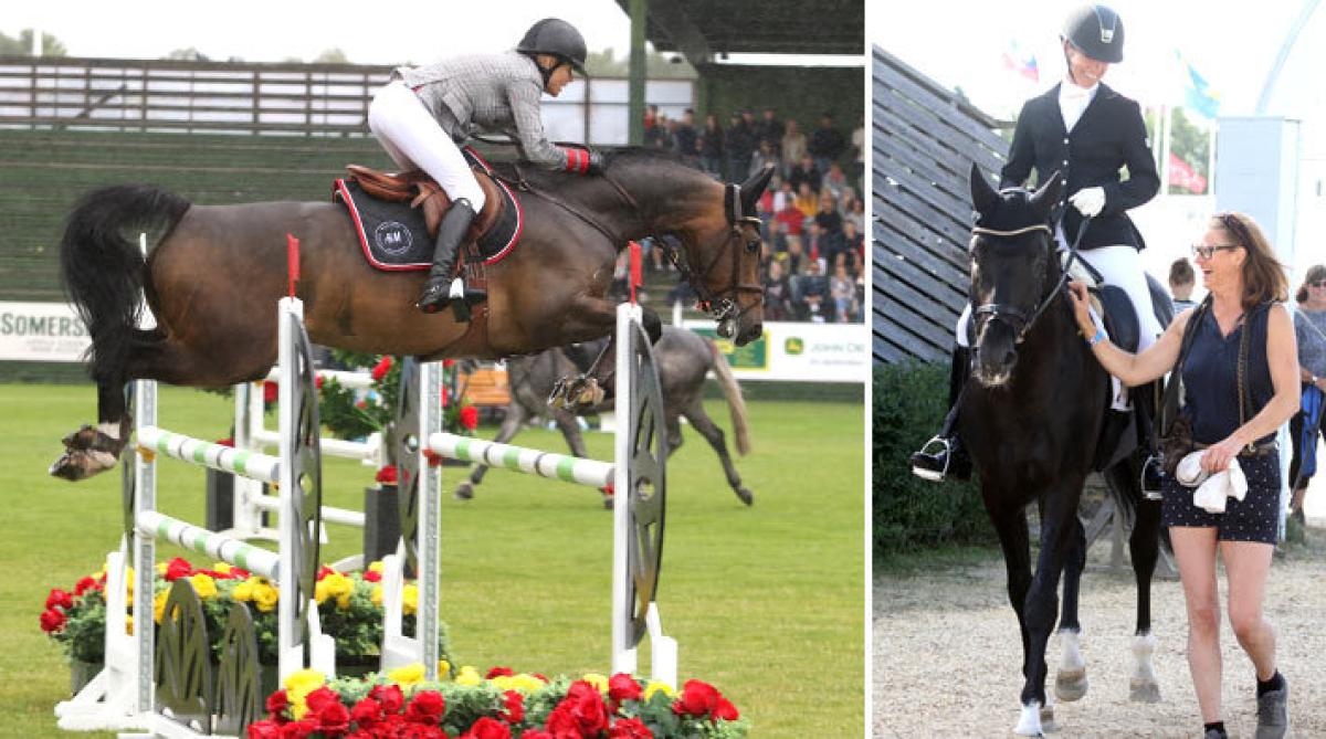 Malin Baryard Johnssons sexåring Quantum presterade två nollrundor och är i final. Till höger Total Hope, bäst i dressyrhästarnas semifinal för sexåringar. Foto: Anki Yngve