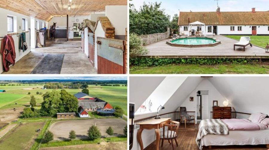 Proffsig hästgård i vacker miljö