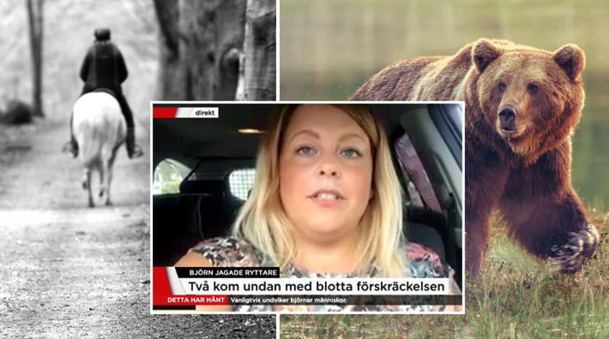 Foto: Adobe Stock (arkiv, ej från händelsen) och Skärmdump från TV4