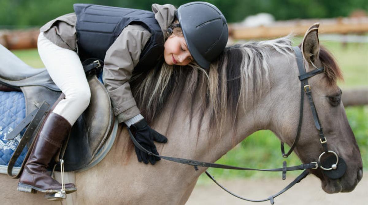 Foto: Svenska ridsportförbundet