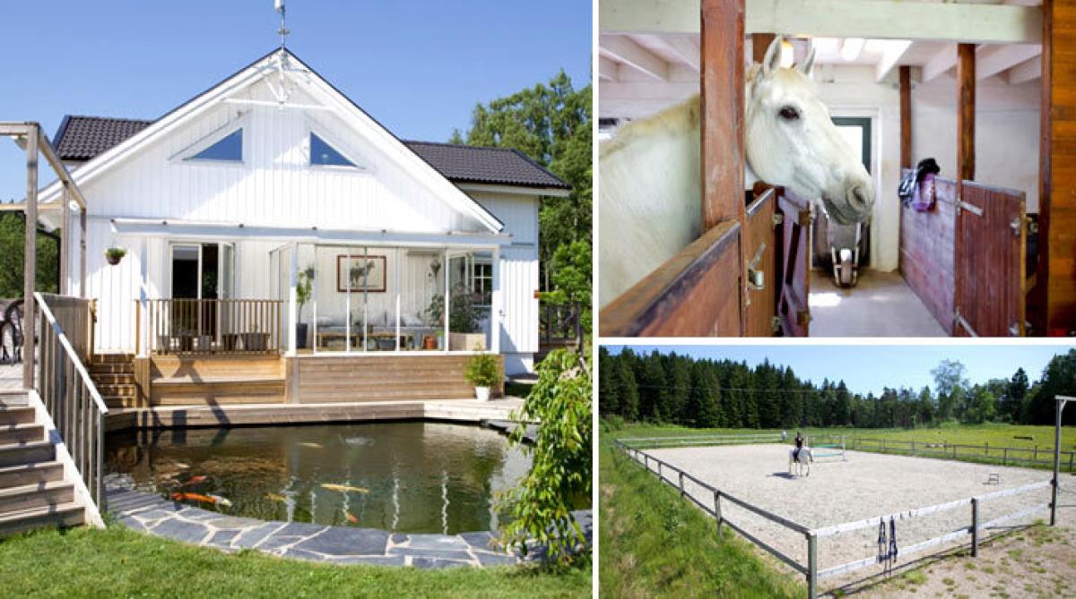 Lättskött hästgård i Västra Götaland – med stall, ridbana och lösdrift