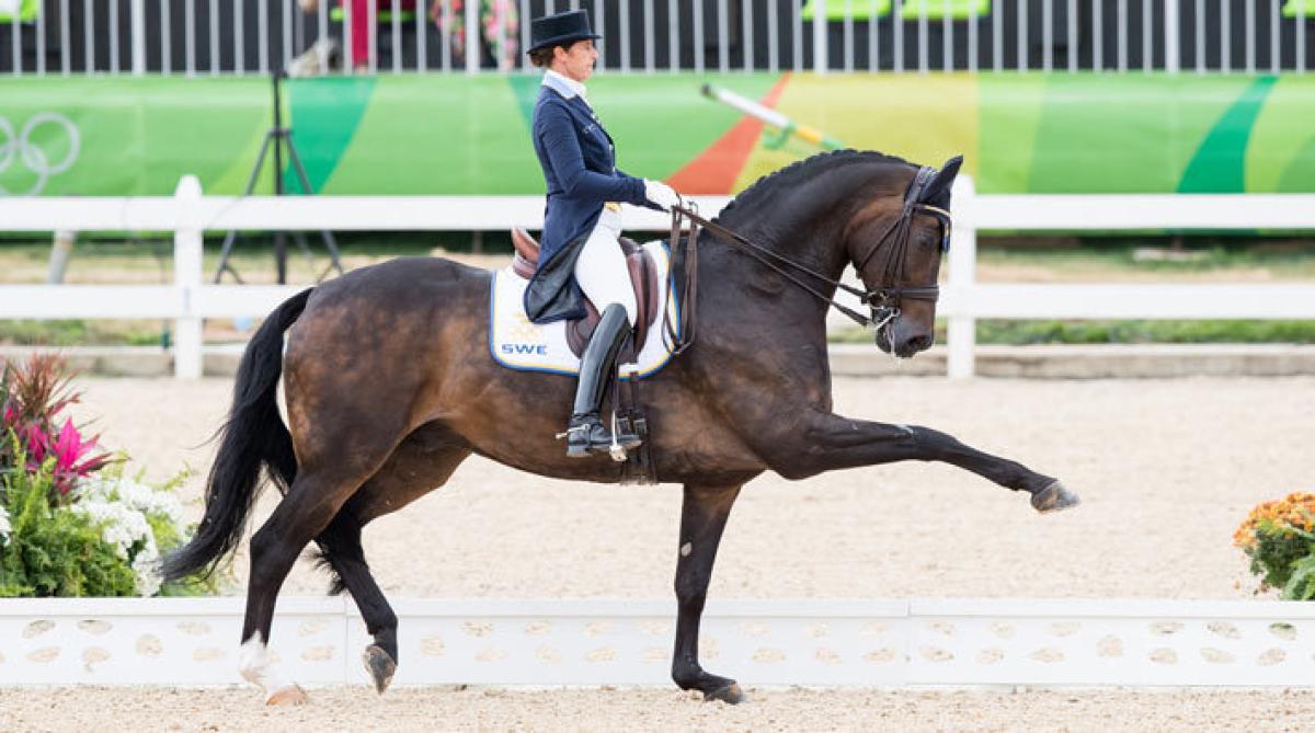 Senaste tävlingsstarten skedde här, vid OS i Rio 2016. Foto: Tomas Holcbecher