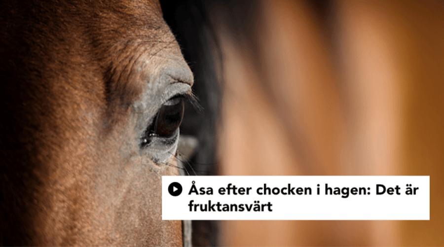 Foto: Adobe Stock