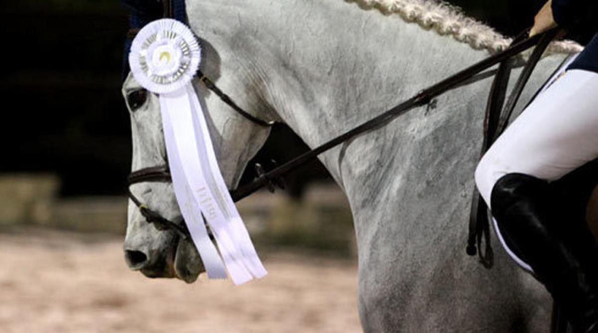 Arkivfoto: Hippson