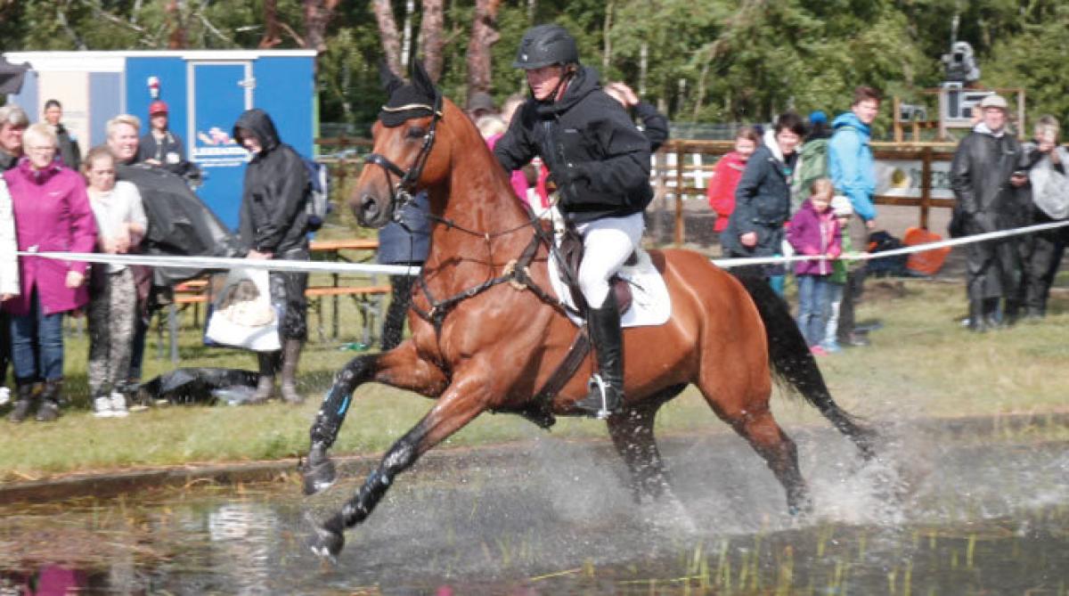 Arkivfoto: Hippson