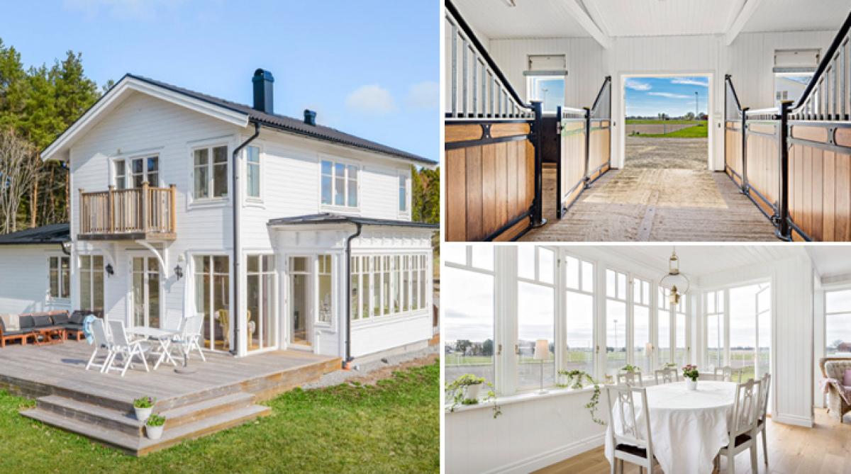 Vit drömgård med plats för hela familjen – med gästhus, stall och lösdrift