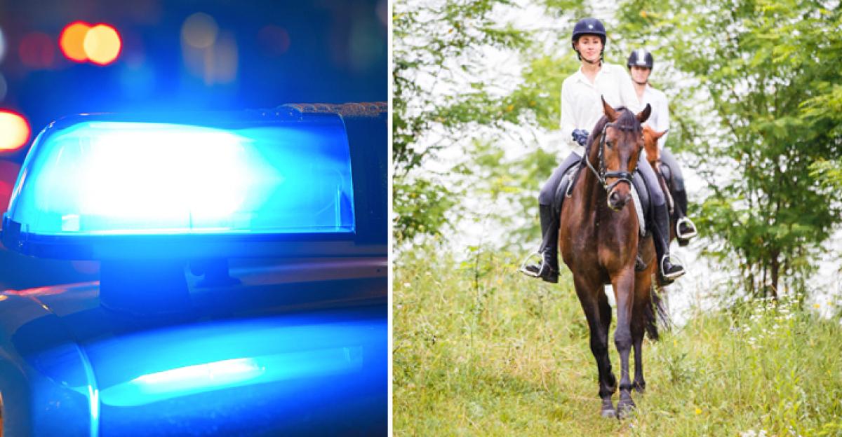 Häst avlivad efter olycka vid sjö – sjönk ner i marken: ”En väldigt tråkig händelse”