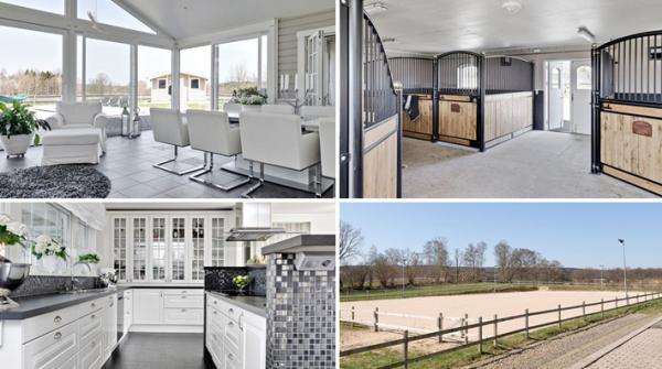 Exklusiv hästgård i Skåne – i toppskick med pool och stall med fem boxar