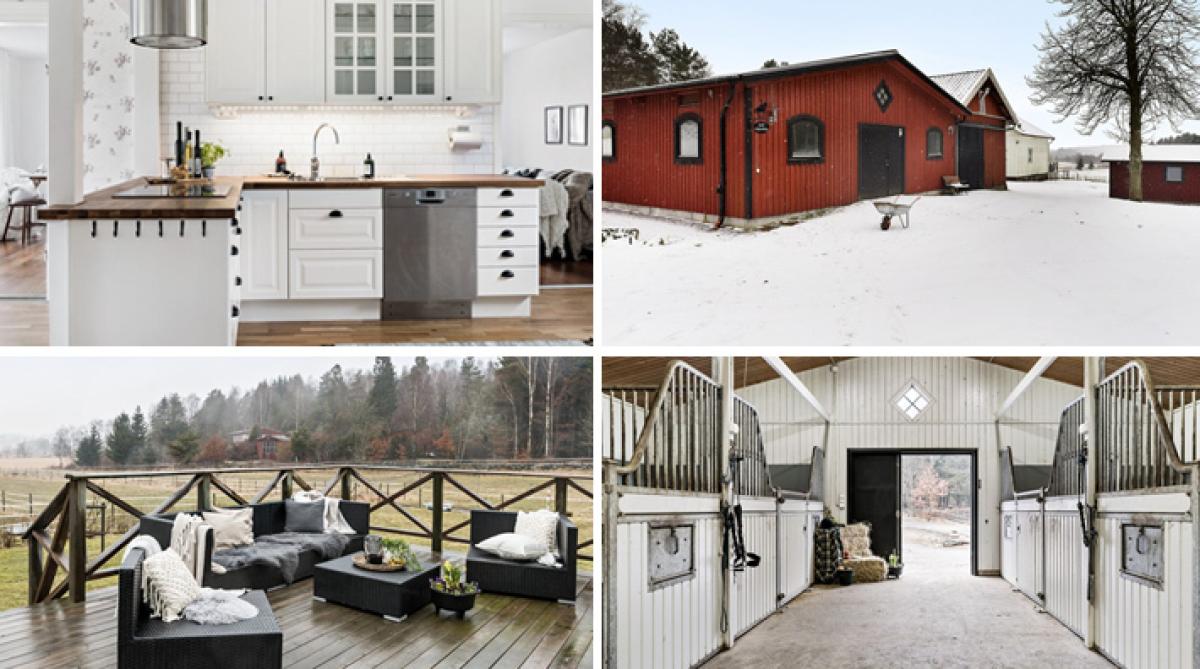 Välskött hästgård med fyra boxar – i vackra omgivningar nära Göteborg