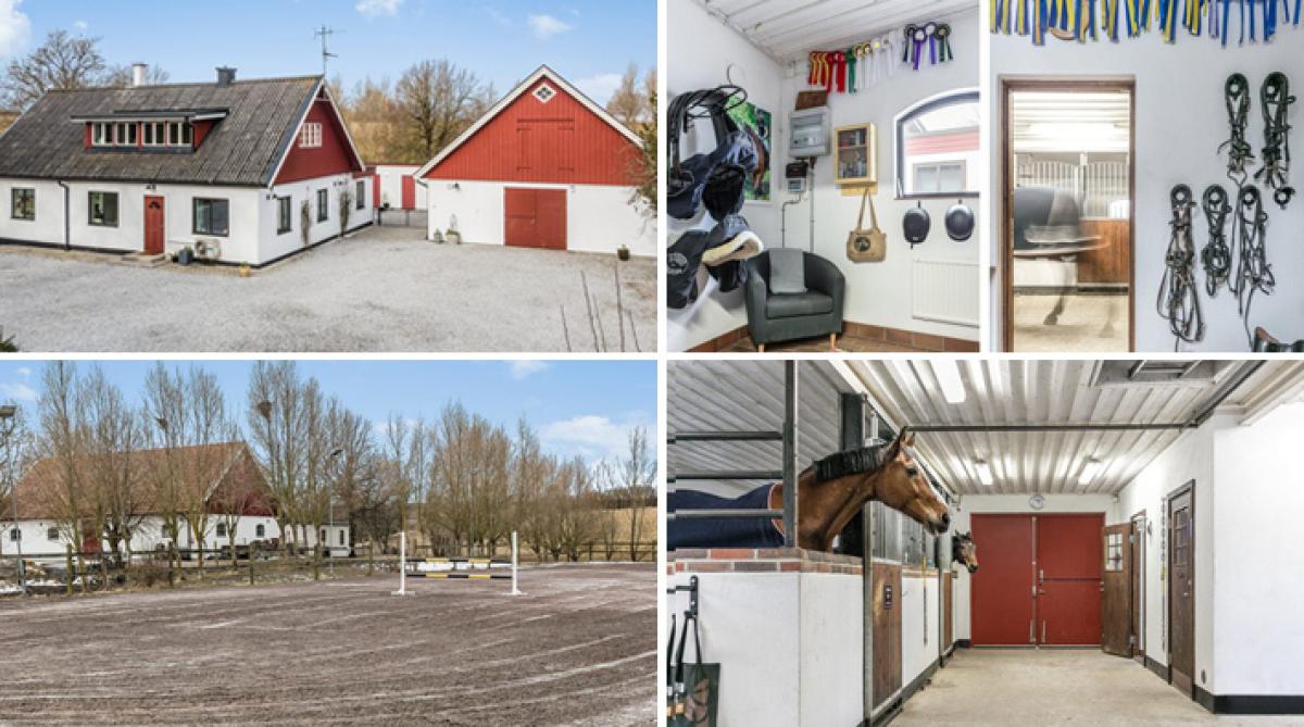 Välskött hästgård nära Malmö och Lund – med pool, ridbana och fem boxar
