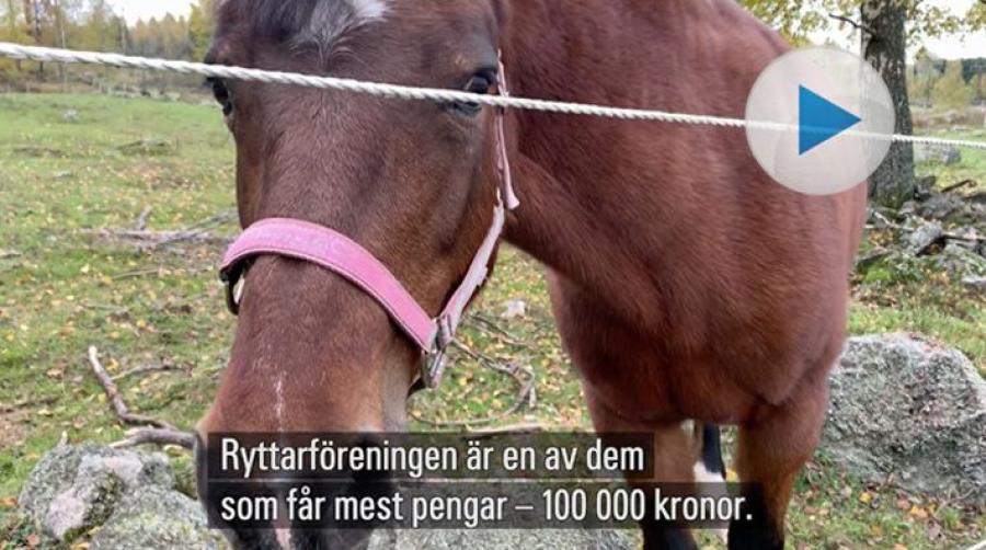 Webb-tv: Katrineholms ryttarförening får stort coronabidrag