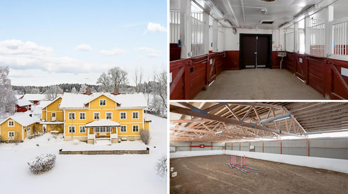 Unikt boende utanför Södertälje – med tolv boxar och ridhus