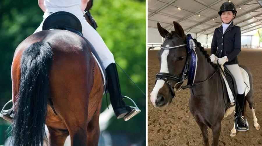 Foto: Adobe Stock och Privat