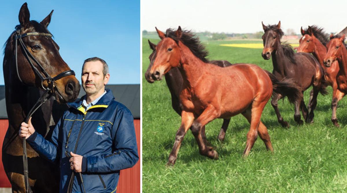 Till vänster SvRF:s ordförande Ulf Brömster. Foto: Mikael Sjöberg (porträtt) och Petri Johansson/Kanal 75