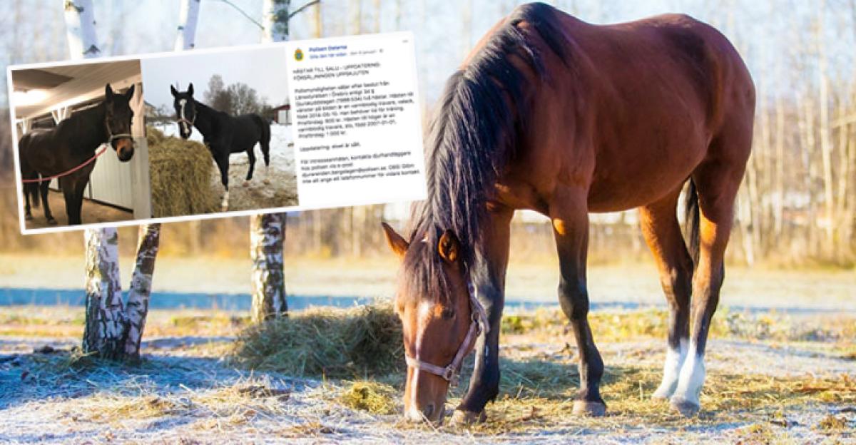 Foto: Skärmdump från polisen och Adobe Stock