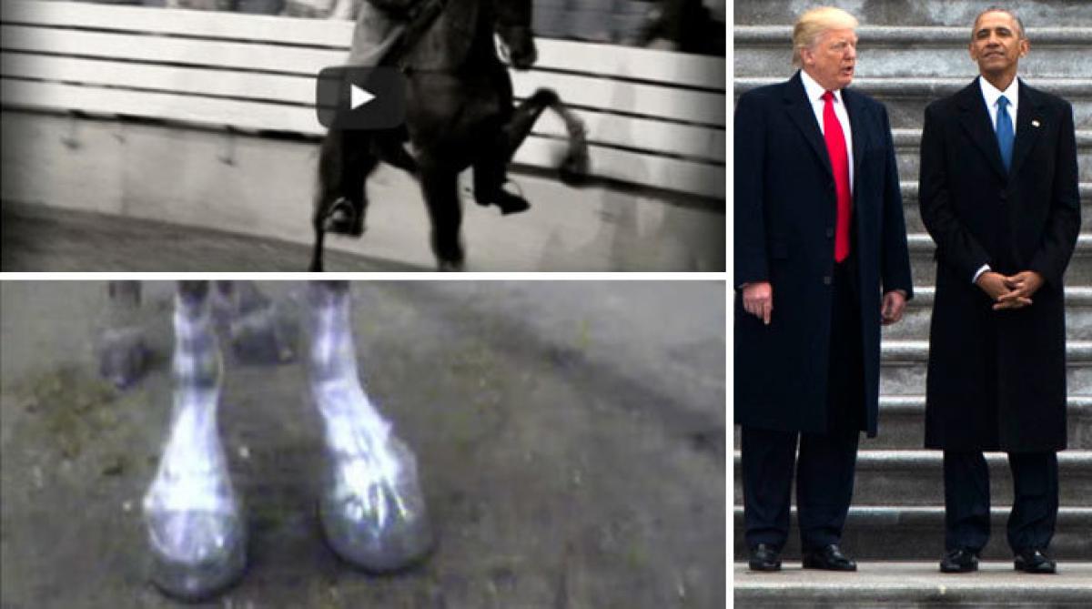 Porträttfoto (Donald Trump och Barack Obama): Sean Martin
