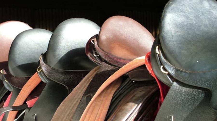 Arkivfoto: Adobe Stock