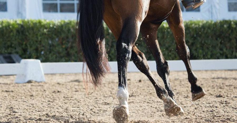 Arkivfoto: Adobe Stock