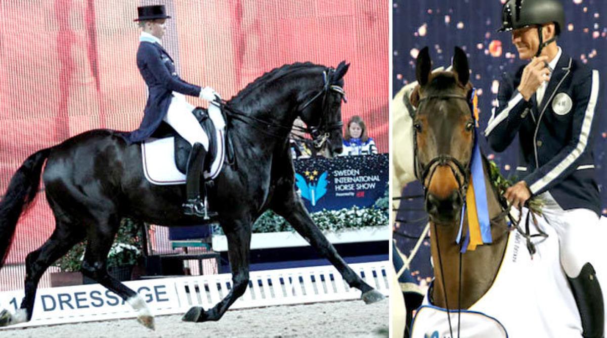 Foto: Annika Grundberg och Annelie Eriksson