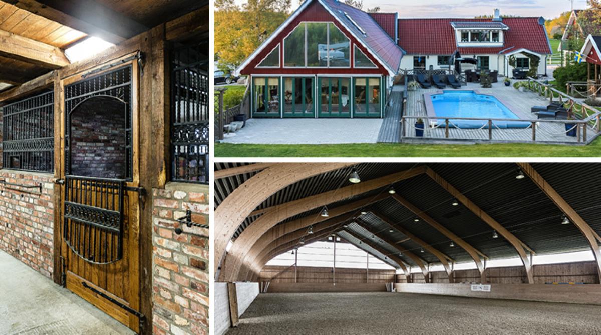 Skånsk hästgård för kräsna ryttare – med pool, ridhus och egen brygga