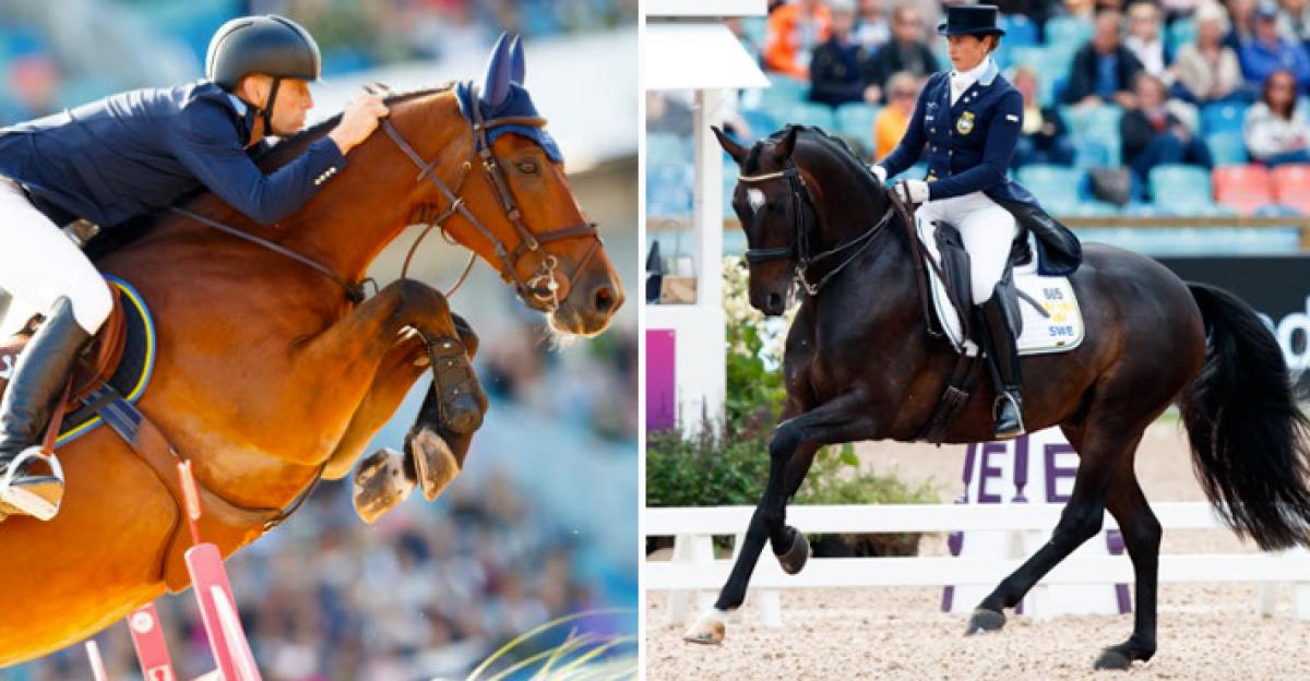 Foto: Tomas Holcbecher