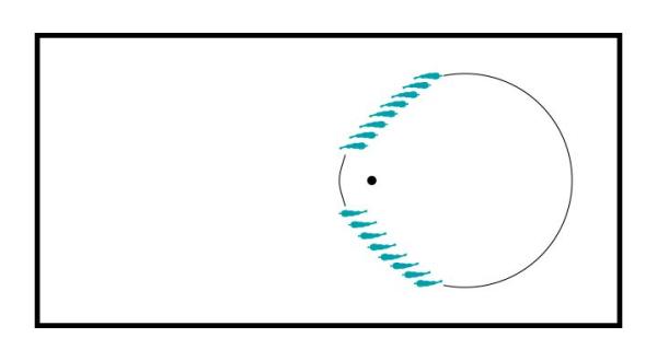 Lösgör hästen och förbered mot samling