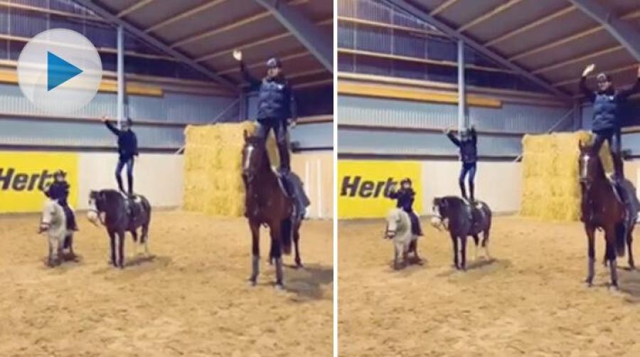 <p>I skogarna utanför Vimmerby håller ett härligt hästgäng till. Med humor, och lite musik, får de vardagen att förlöpa lättare helt enkelt.