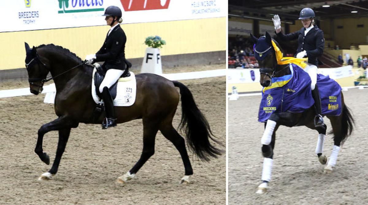 <i>Foto: Anki Yngve</i>