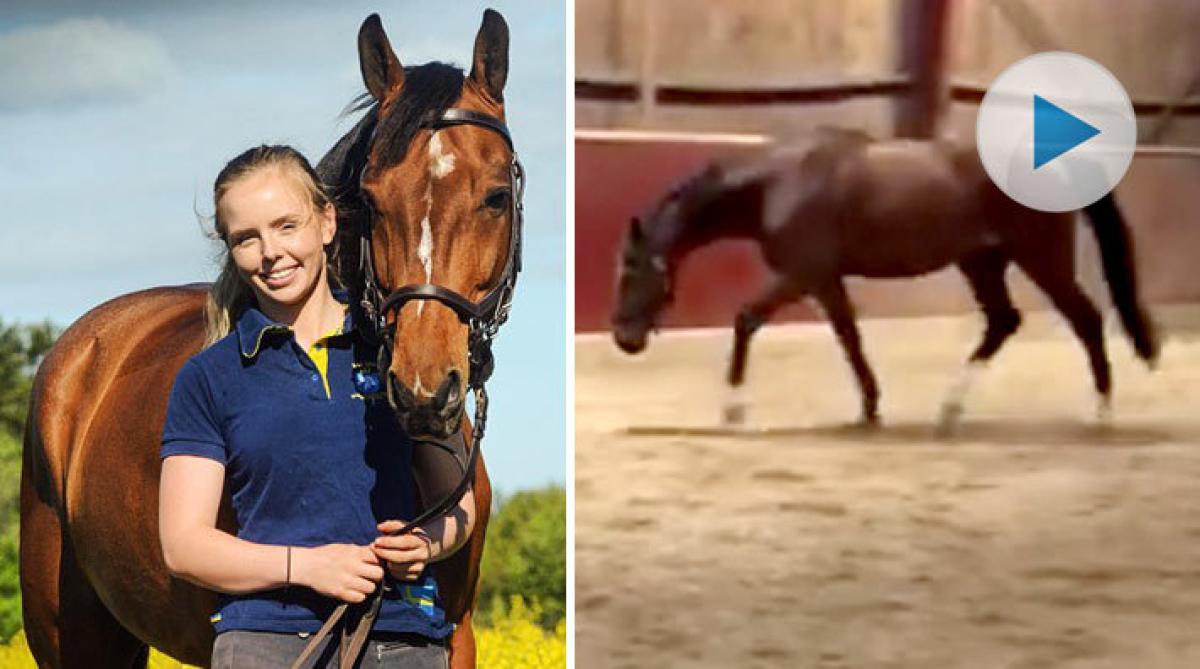 Bruce longerar sig själv: ”Det går inte en dag utan att man får sig ett gott skratt”
