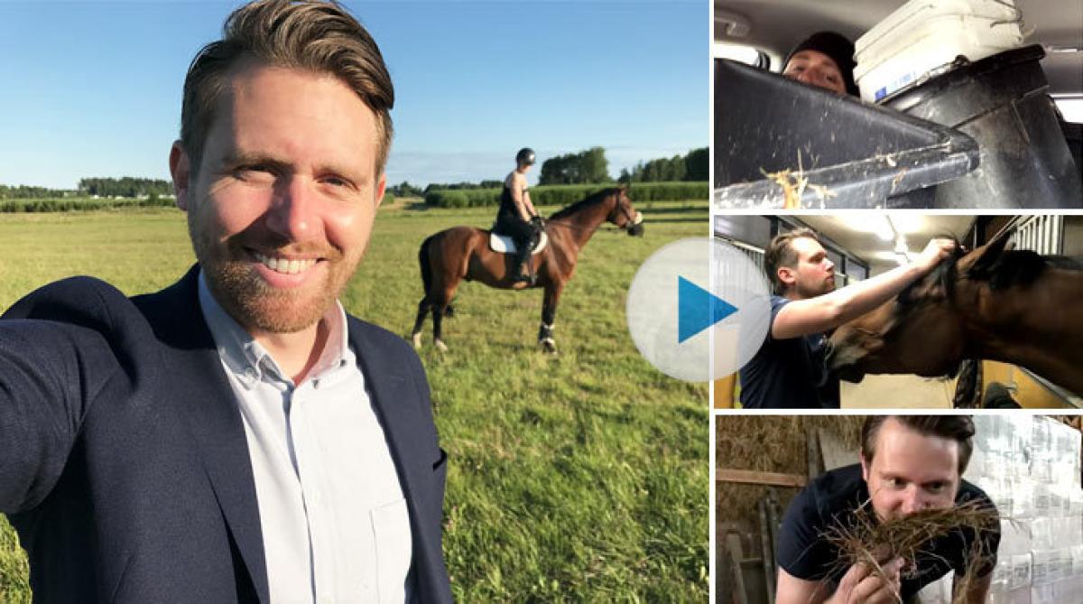 Hestsambon: ”Chamiro är den andra mannen i hennes liv – eller kanske den första…”