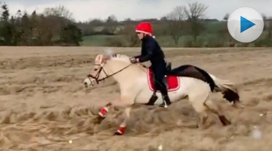 <p>Det är en fjording tomten behöver när han ska hinna med att leverera julklappar till alla. Ett snyggt ekipage blir det ju dessutom – bara fördelar alltså.