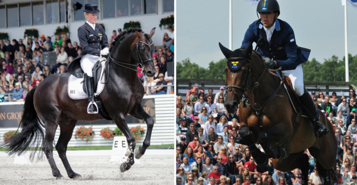 <i>Arkivfoto: Falsterbo Horse Show </i>